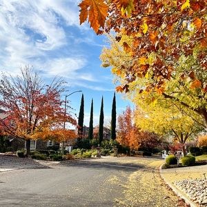 Meet your Posher, Zoe